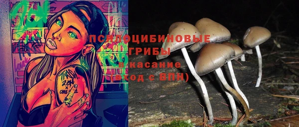 кокаин премиум Богданович